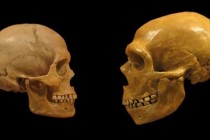 Jesu li metafore pomogle jeziku Homo sapiensa da se razlikuje od neandertalskog?